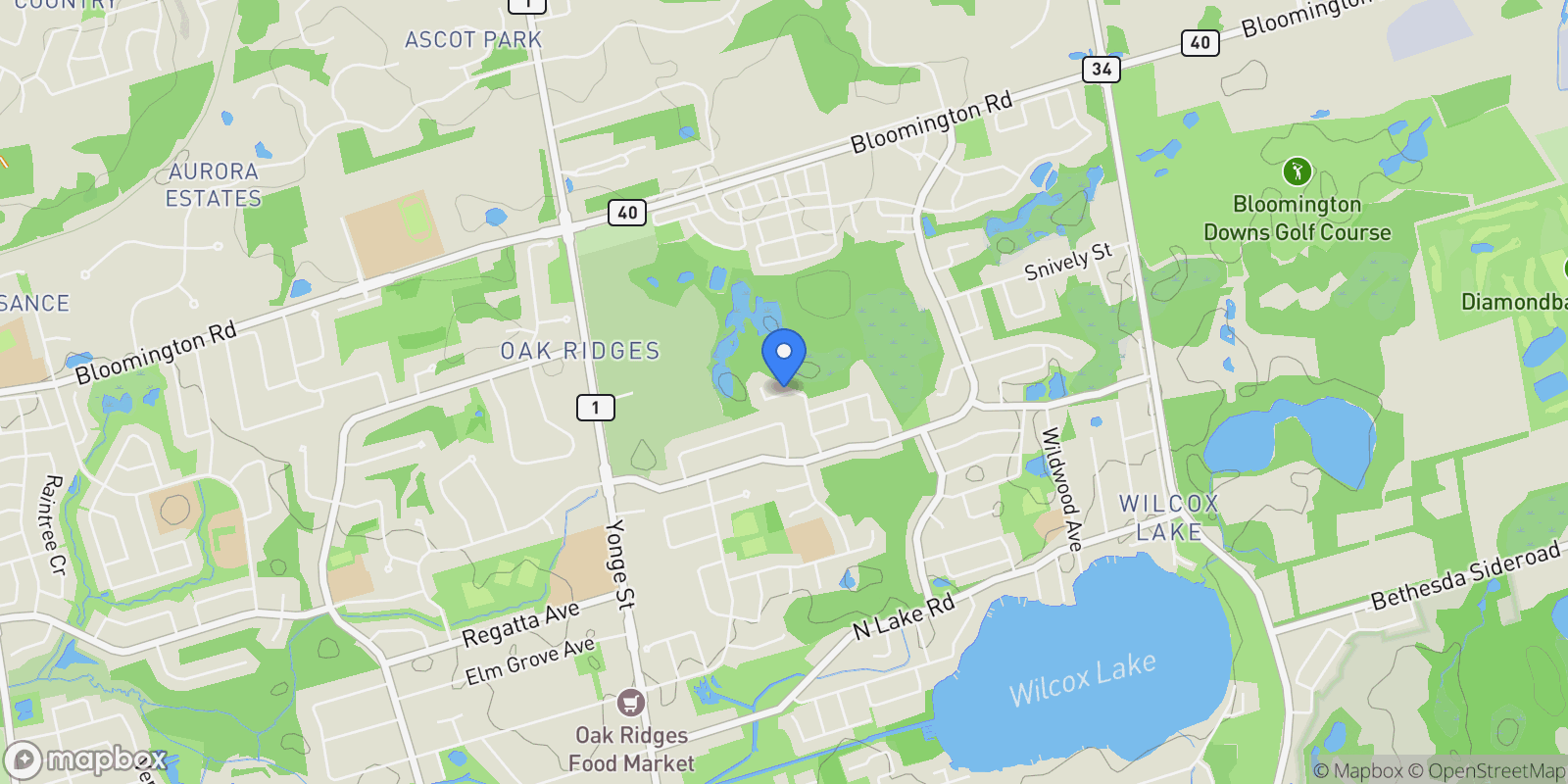 Map showing 29 Limerick Street, Gormley, Ontario, Canada.