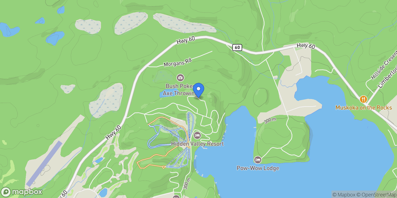 Map showing 132 WOODLAND Drive, Huntsville, Ontario, Canada.