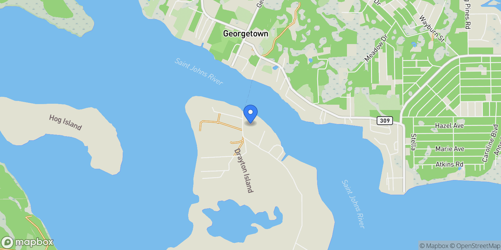 Map showing 122 Drayton Island Road , Georgetown, FL 32139, Georgetown, Florida, United States.