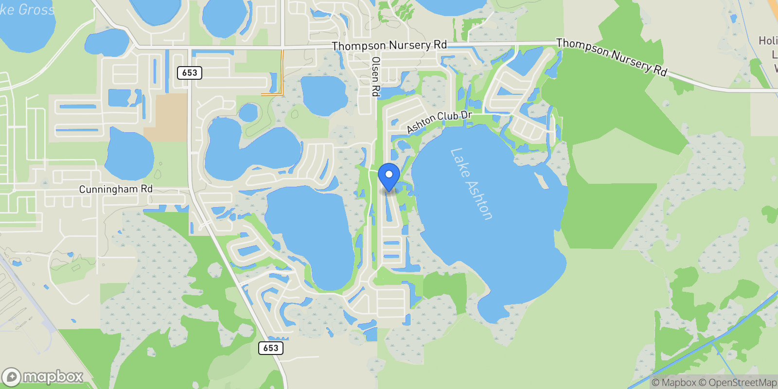 Map showing 4120 Limerick Drive, Lake Wales, FL 33859, Lake Wales, Florida, United States.