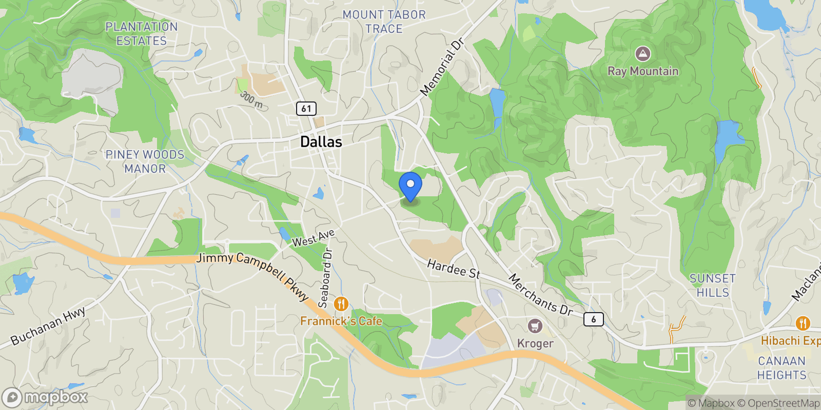 Map showing 0 E Foster Avenue, Dallas, GA 30132, Dallas, Georgia, United States.