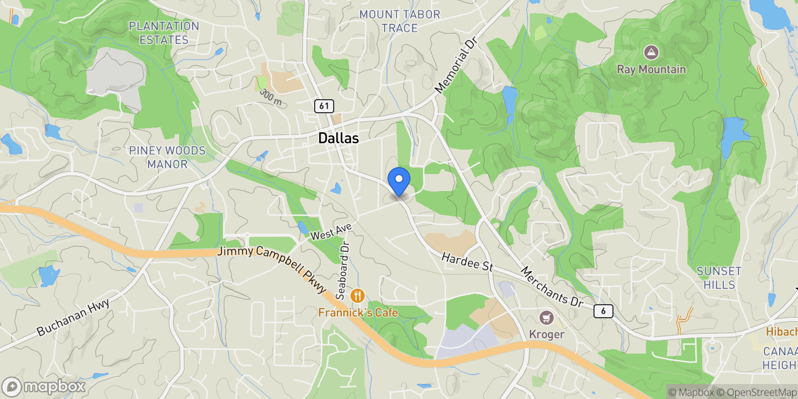 Map showing 0 E Foster Avenue, Dallas, GA 30132, Dallas, Georgia, United States.
