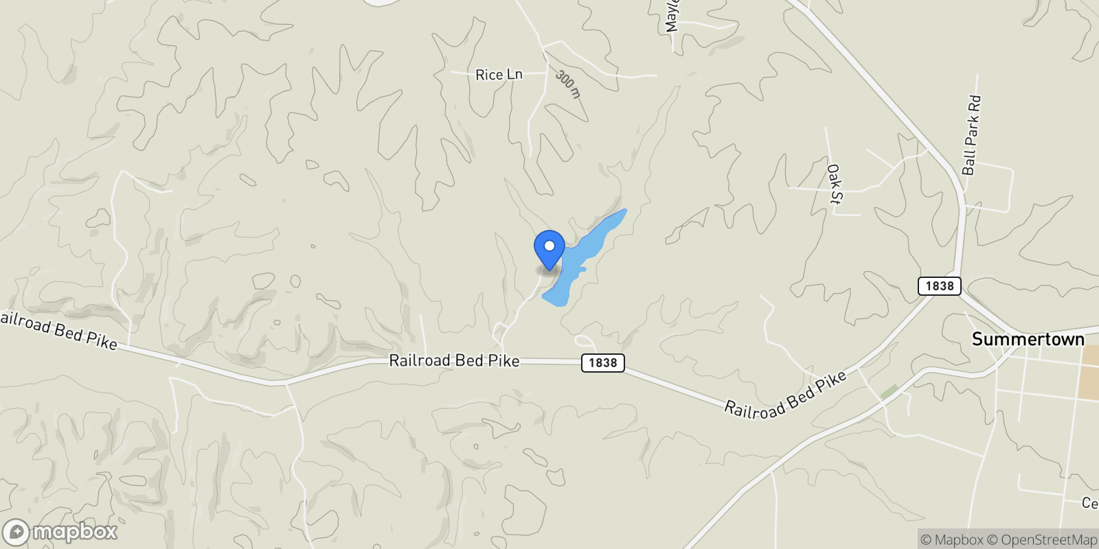 Map showing 74 Pine Lake Rd , Summertown, TN 38483, Summertown, Tennessee, United States.
