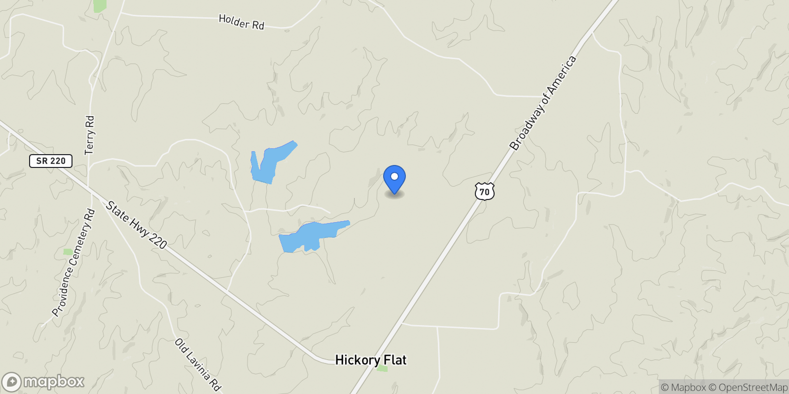 Map showing 290 Leeford Ln , Cedar Grove, TN 38321, Cedar Grove, Tennessee, United States.