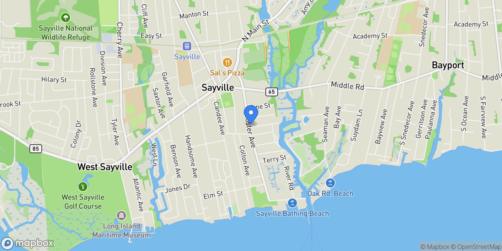Map showing 167 Foster Avenue, Sayville, NY 11782, Yaphank, New York, United States.