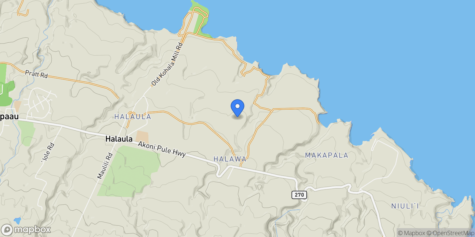 Map showing 53-4223 Pratt Rd , Kapaau, HI 96755, Waimea, Hawaii, United States.