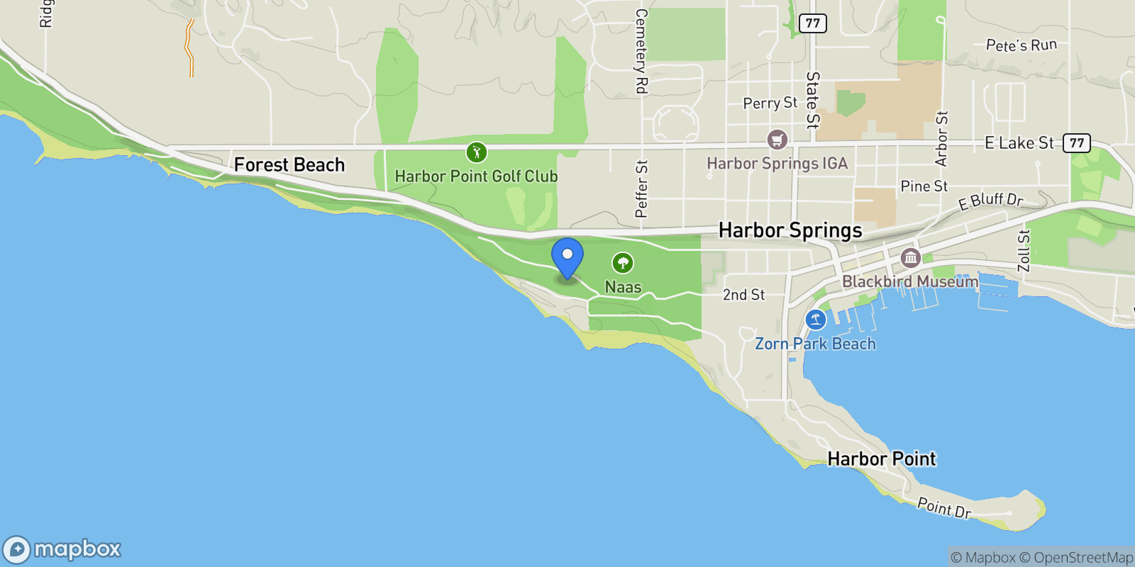 Map showing 805 Glenn Drive, Harbor Springs, MI 49740, Wequetonsing, Michigan, United States.