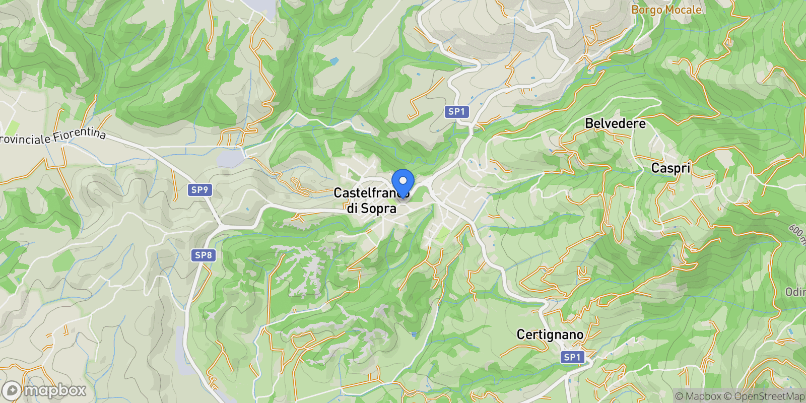 Map showing 52020 Castelfranco Piandiscò, Province of Arezzo, Italy, Castelfranco Piandiscò, Tuscany, Italy.