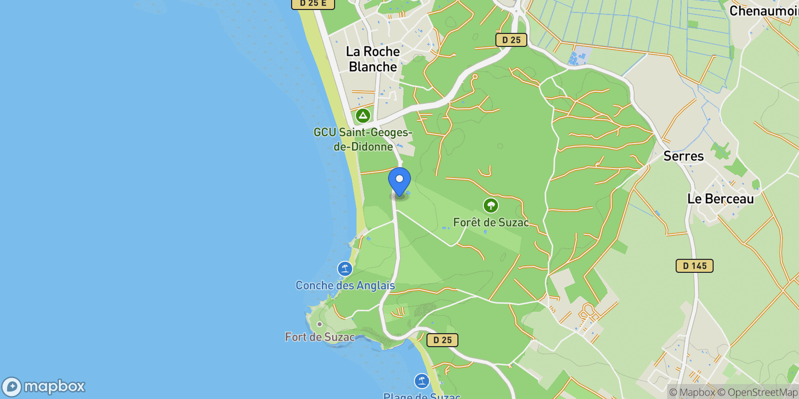 Map showing ST GEORGES DE DIDONNE, T 17110, Saint-Georges-de-Didonne, Nouvelle-Aquitaine, France.