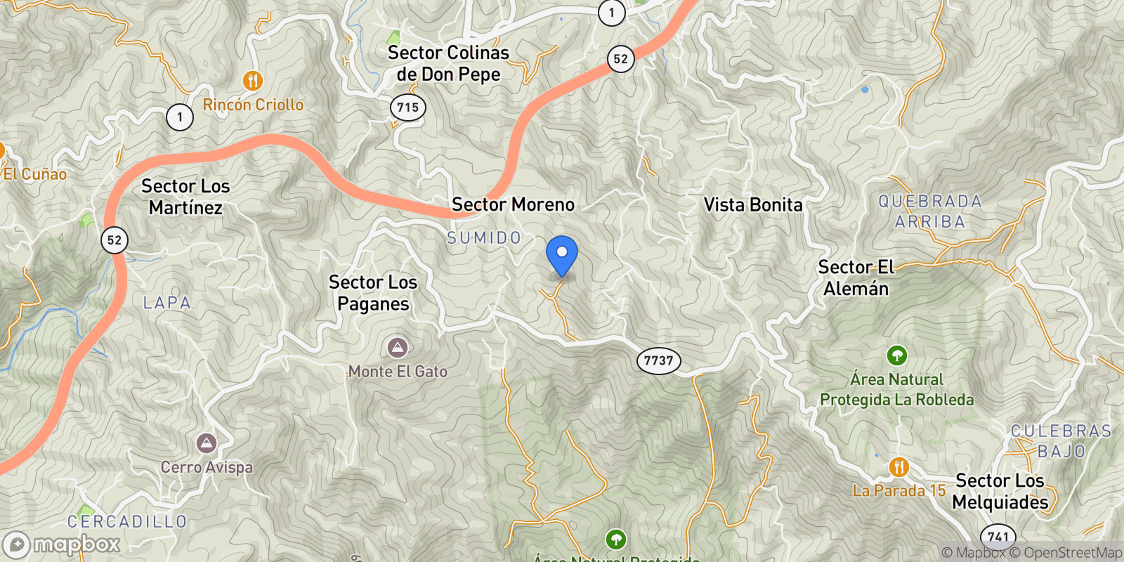 Map showing Cayey CARRETERA 7737 1, Cayey, Cayey, Puerto Rico.