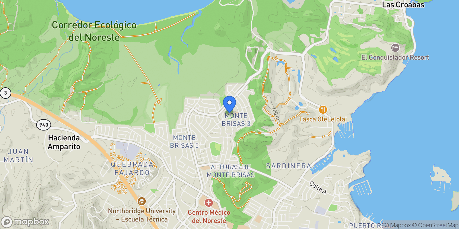 Map showing Fajardo CALLE 111 1, Fajardo, Fajardo, Puerto Rico.