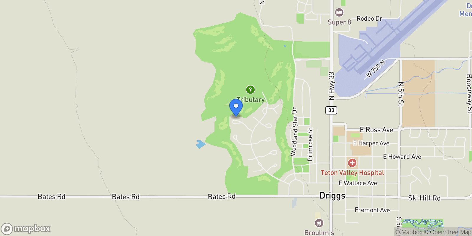 Map showing 1190 Shasta Daisy Court , Driggs, ID 83422, Tetonia, Idaho, United States.