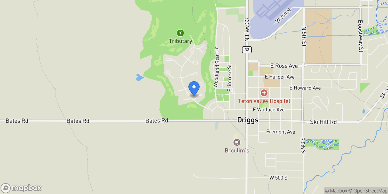 Map showing 880 Sharp Tail Court , Driggs, ID 83422, Tetonia, Idaho, United States.