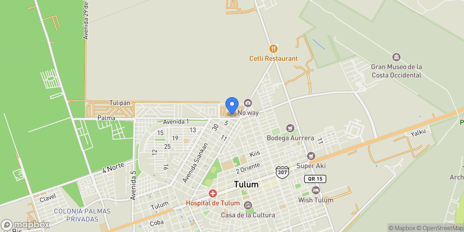Map showing Región 007 Supermanzana 001 Manzana 002 Lote 004 Calle Palma Fracc. Riviera Tulum, Tulum, ROO 77760, Tulum, Quintana Roo, Mexico.