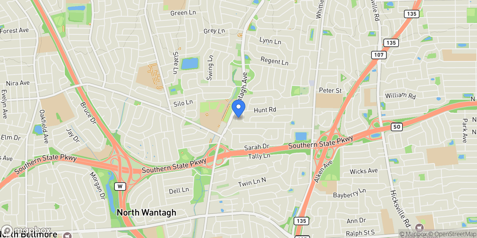 Map showing 803 Michele Lane, Hempstead, NY 11793, Wantagh, New York, United States.