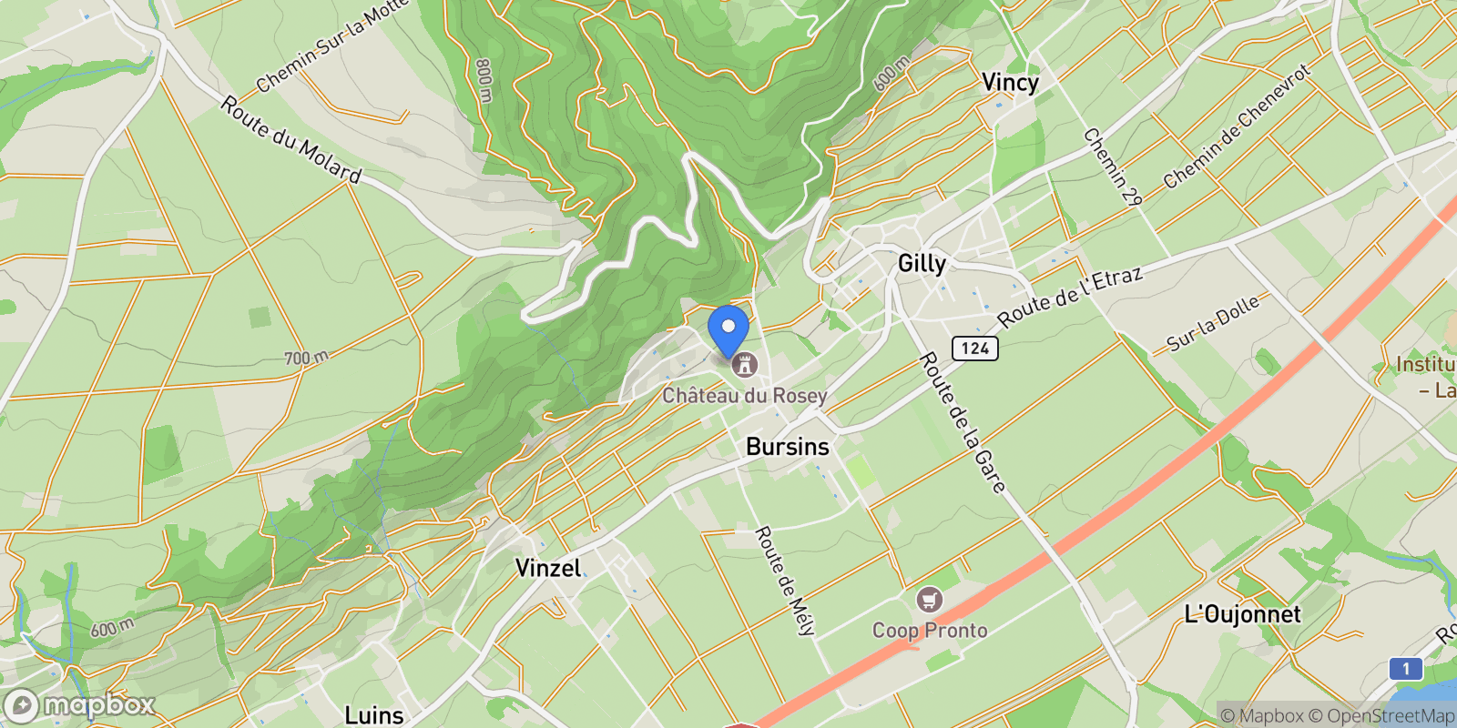 Map showing Bursins, Vaud, Switzerland.