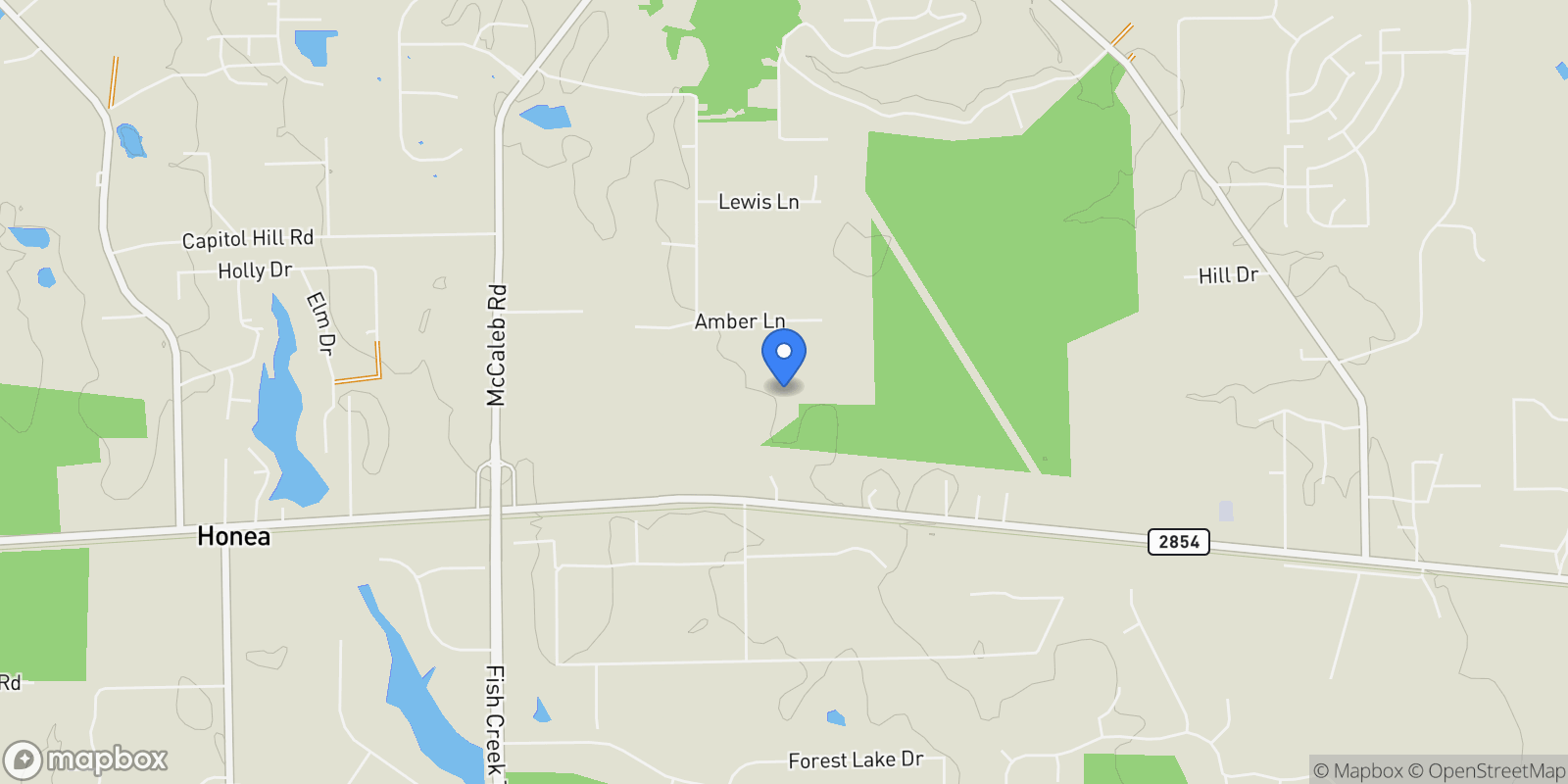 Map showing 14065 Amber Lane, Montgomery, TX 77316, Montgomery, Texas, United States.
