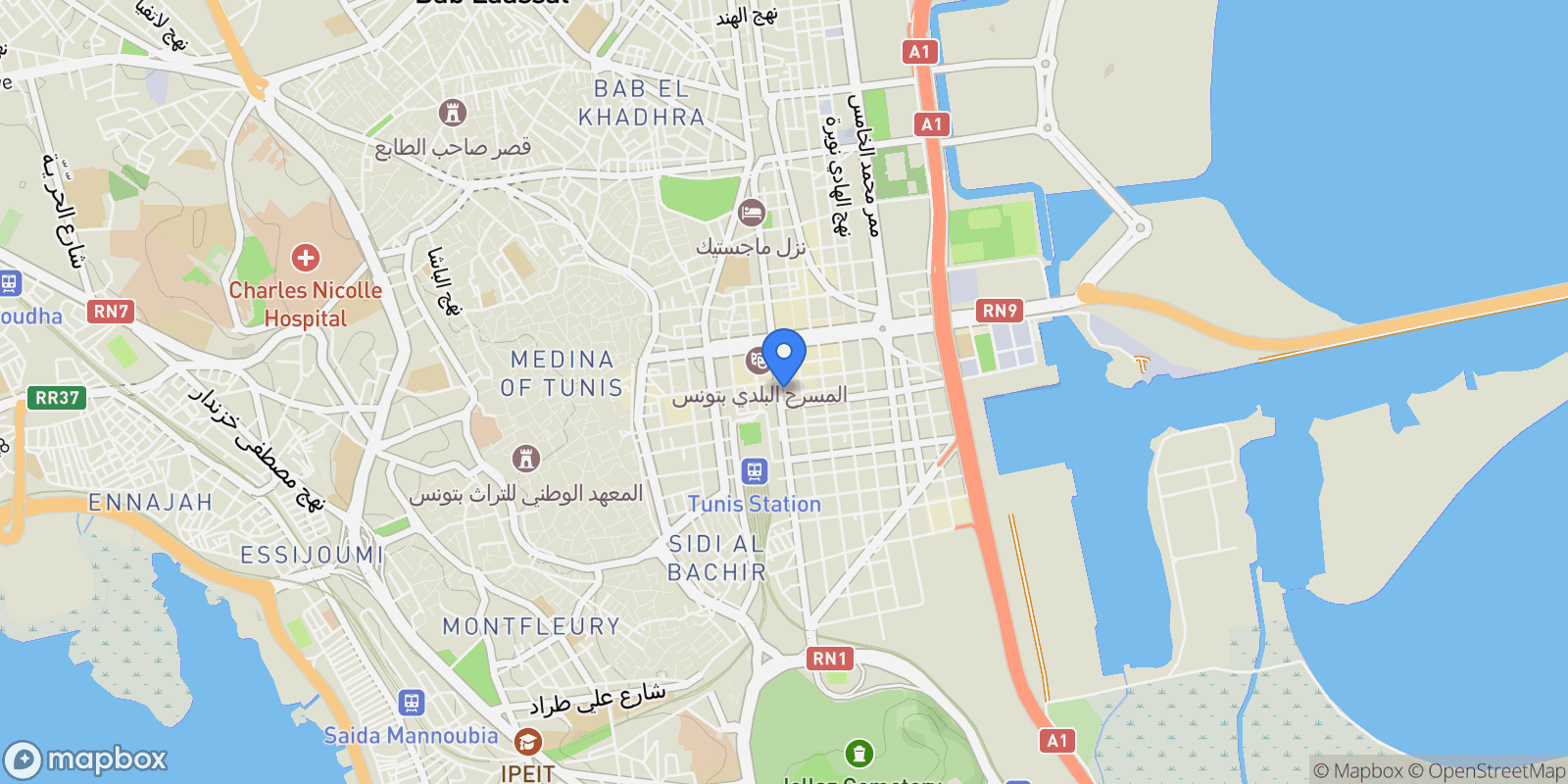 Map showing Tunis, Tunis, Tunisia.