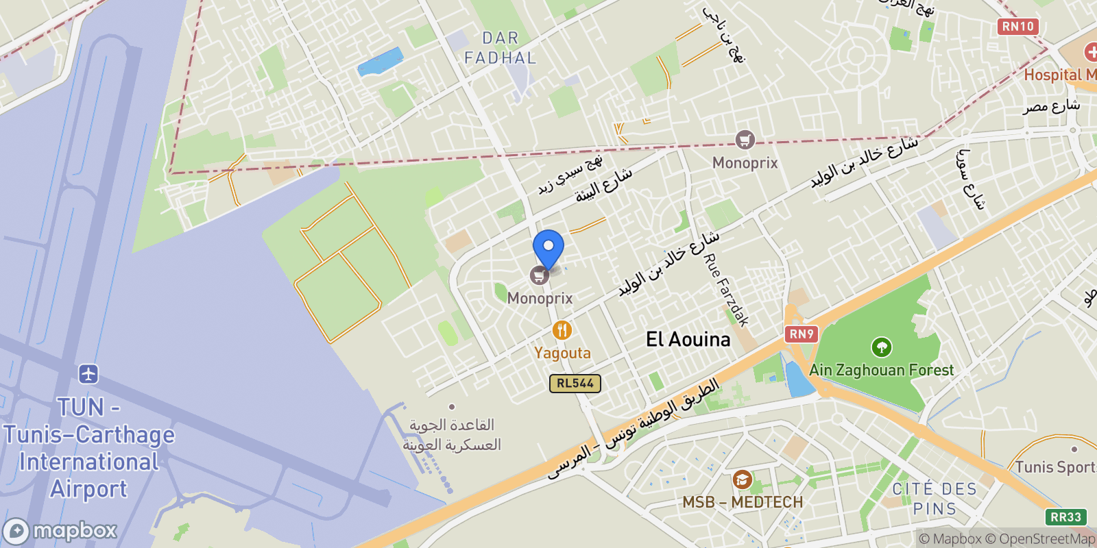 Map showing Tunis, Tunis, Tunisia.