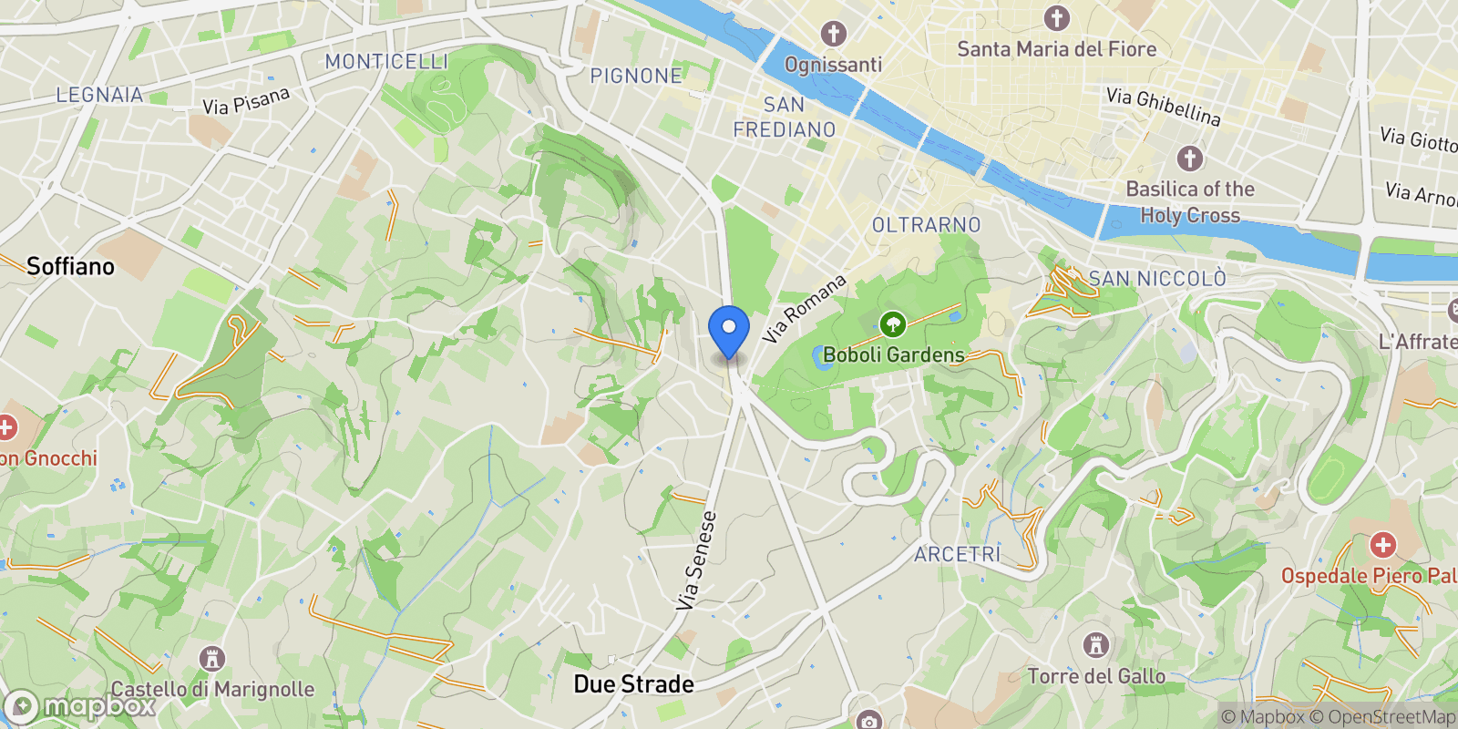 Map showing Viale Petrarca, Firenze, FI 50124, Florence, Tuscany, Italy.