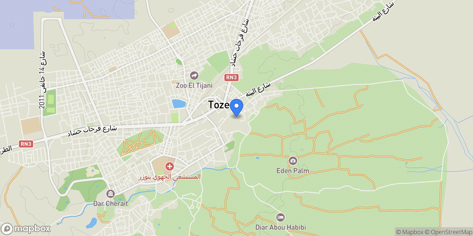 Map showing Tozeur, Tunisia.