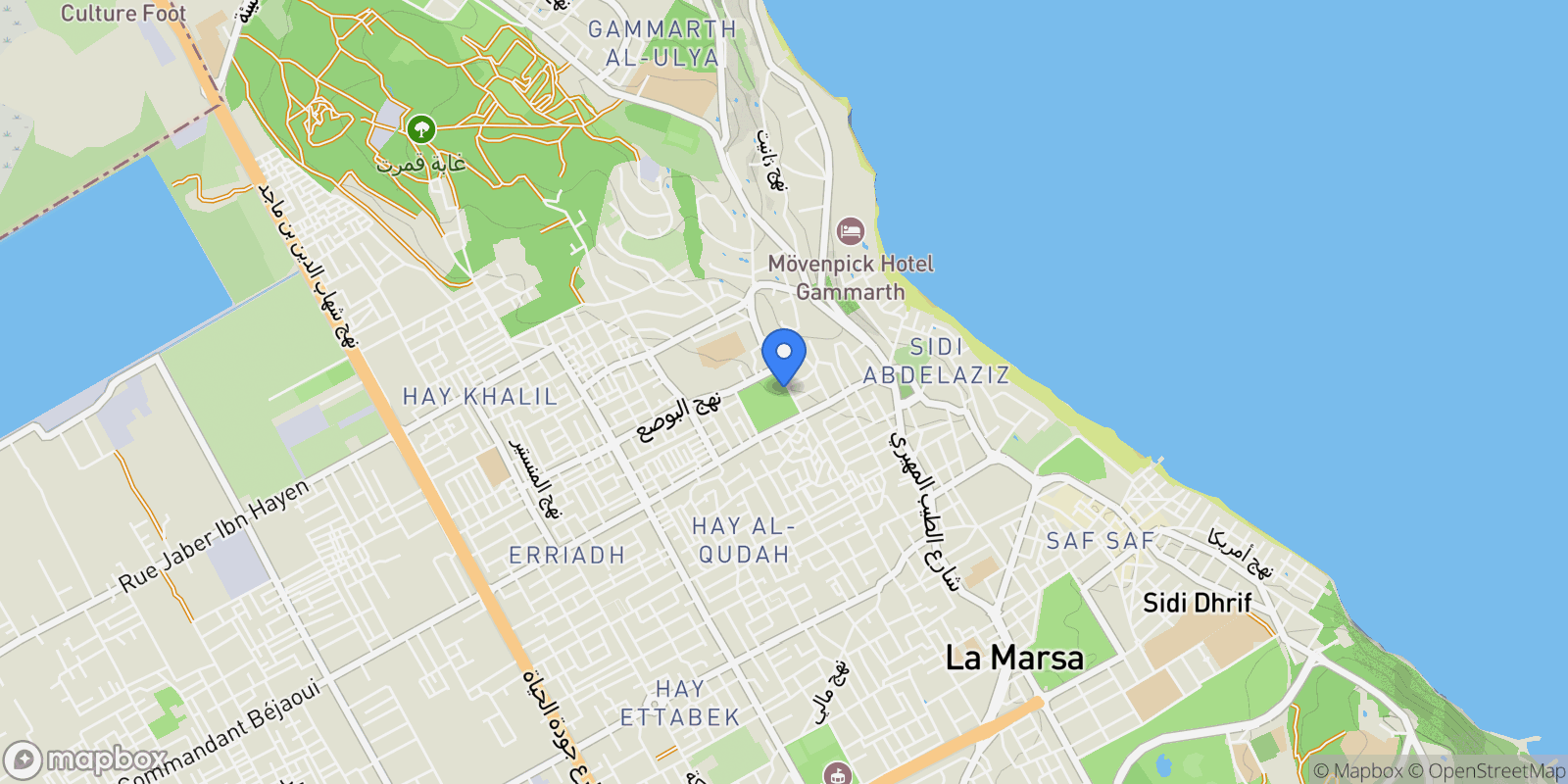 Map showing La Marsa, Tunis, Tunisia.