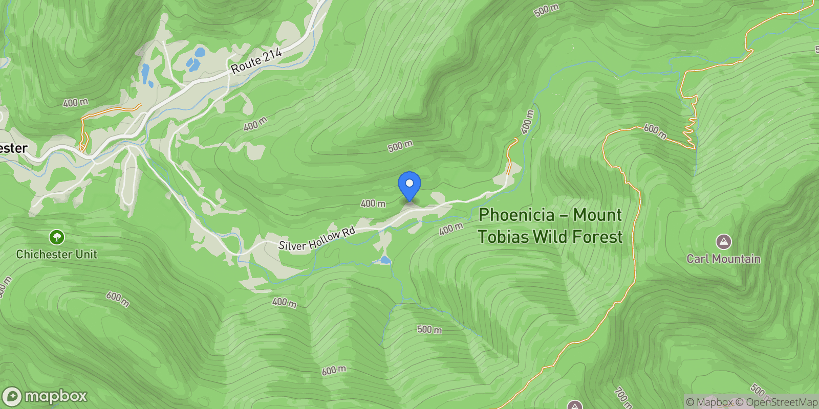 Map showing 439 Silver Hollow Road, Willow, New York, United States.