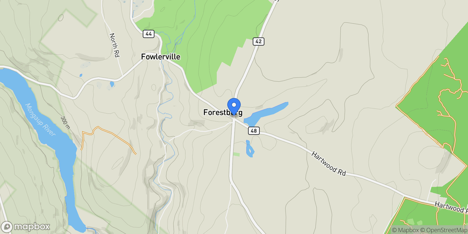 Map showing 2489 NY-42, Forestburgh, NY, 12777, USA, Forestburgh, New York, United States.