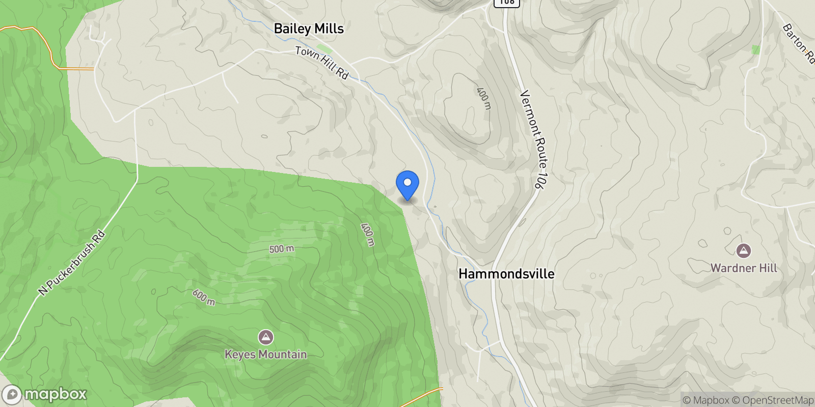 Map showing 419 Baileys Mill Road, Reading, VT 05062, Reading, Vermont, United States.