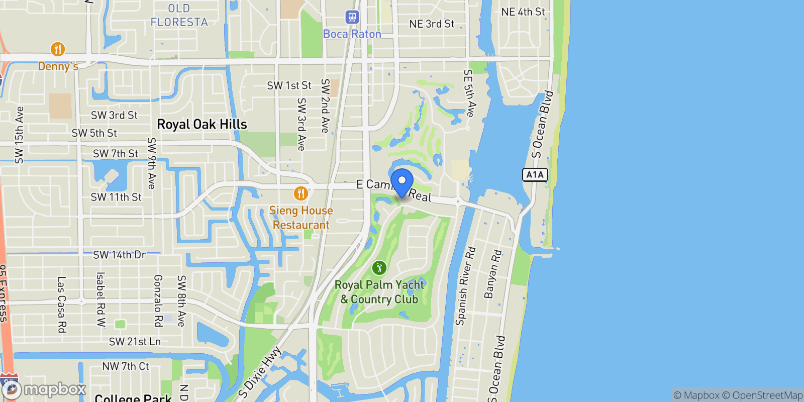 Map showing 217 Thatch Palm Drive, Boca Raton, Florida, United States.