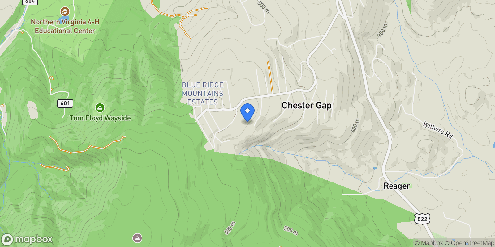 Map showing 46 Rock Ridge Lane, Chester Gap, VA 22623, Chester Gap, Virginia, United States.