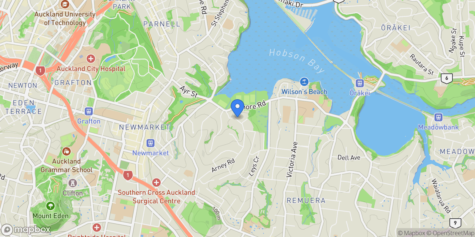 Map showing 149A Arney Road, Remuera, Auckland 1050, New Zealand, Auckland, Auckland, New Zealand.