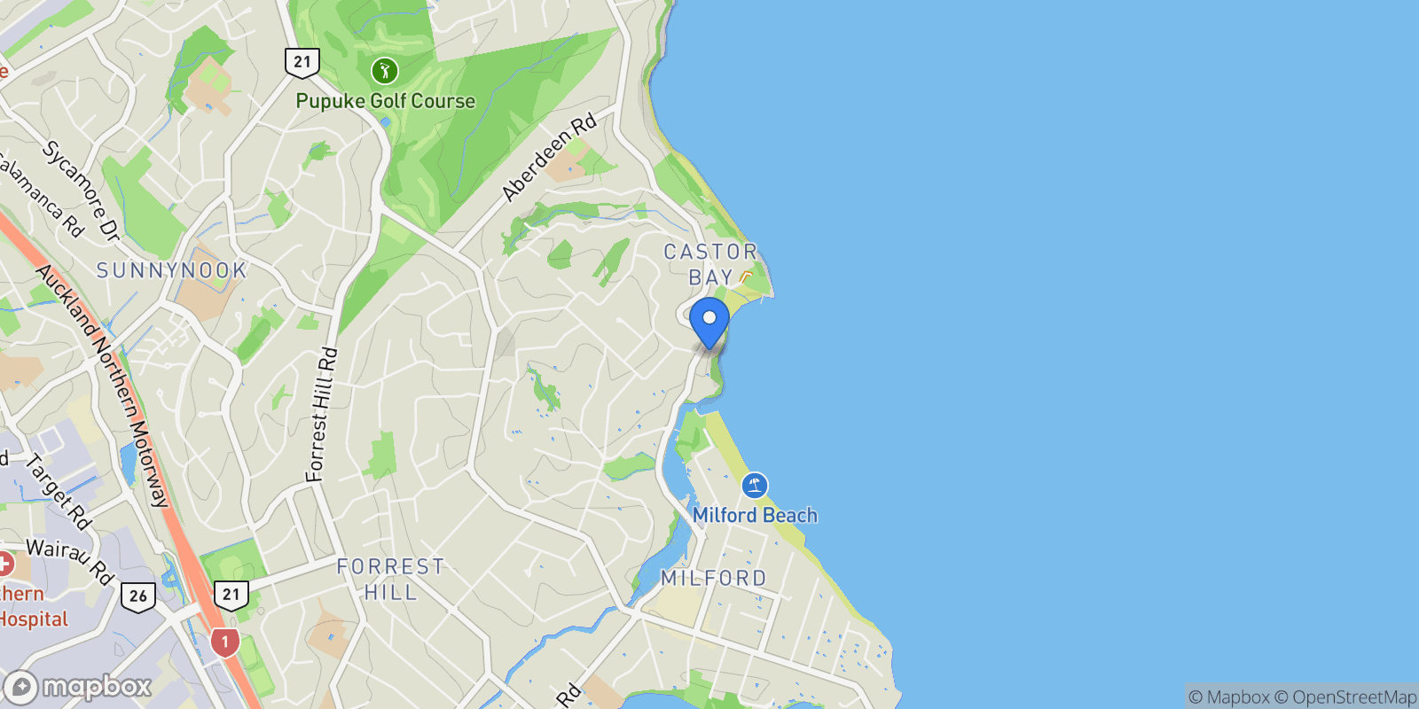 Map showing 41 Beach Road, Castor Bay, Auckland 0620, New Zealand, Auckland, Auckland, New Zealand.
