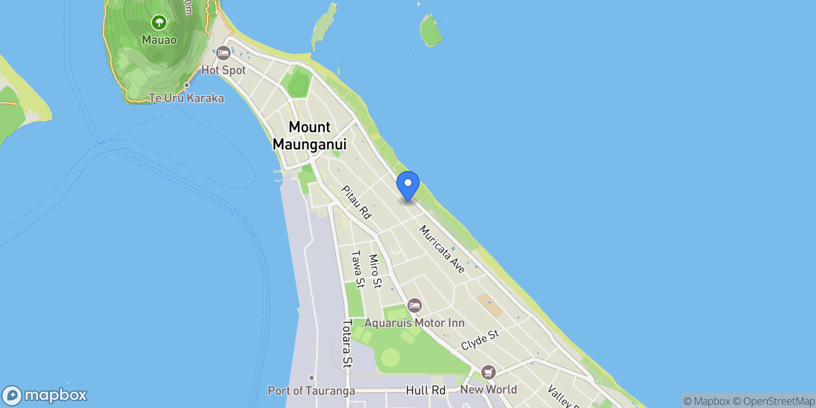 Map showing 29 Muricata Avenue, Mount Maunganui 3116, New Zealand, Mount Maunganui, Bay of Plenty, New Zealand.