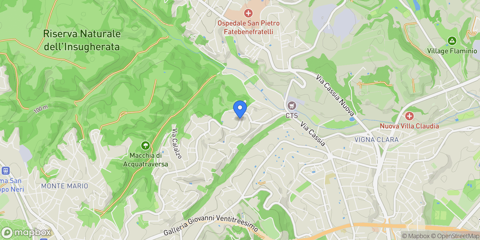 Map showing Viale Cortina D'ampezzo, Rome, Lazio, Italy.
