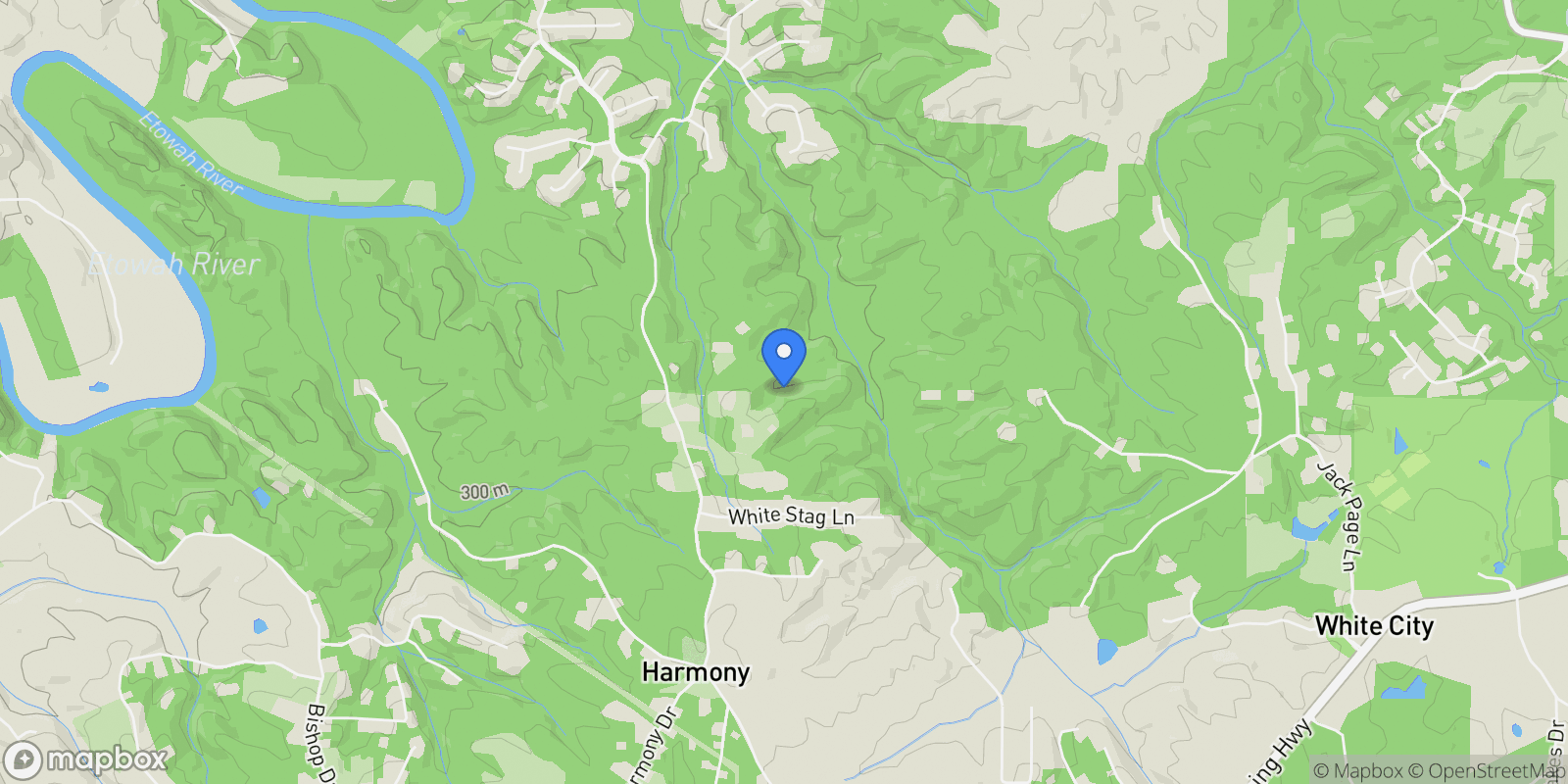 Map showing 1693 Harmony Drive, Canton, Georgia, United States.