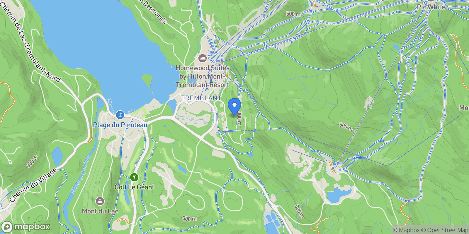 Map showing 154 Ch. de la Forêt 8, Mont-Tremblant, Quebec, Canada.