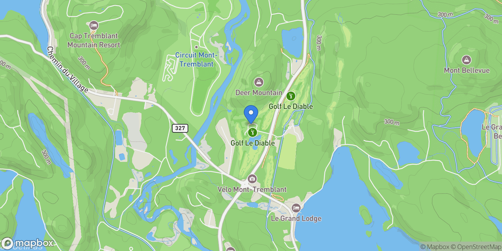 Map showing 233 Allée Boréalis, Mont-Tremblant, Quebec, Canada.