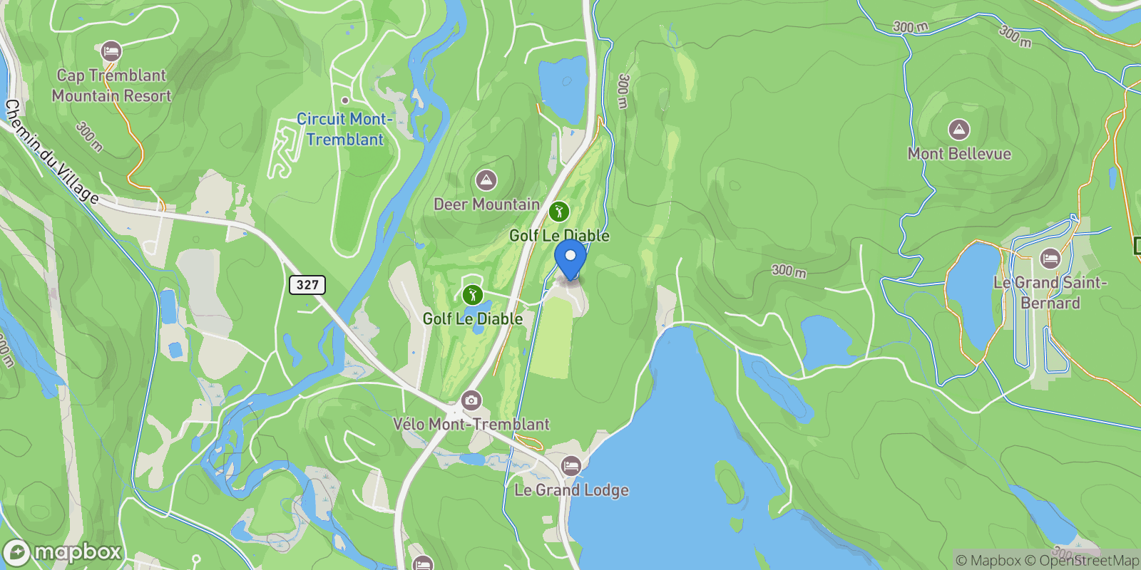 Map showing 205 Allée de l'Académie, Mont-Tremblant, Quebec, Canada.