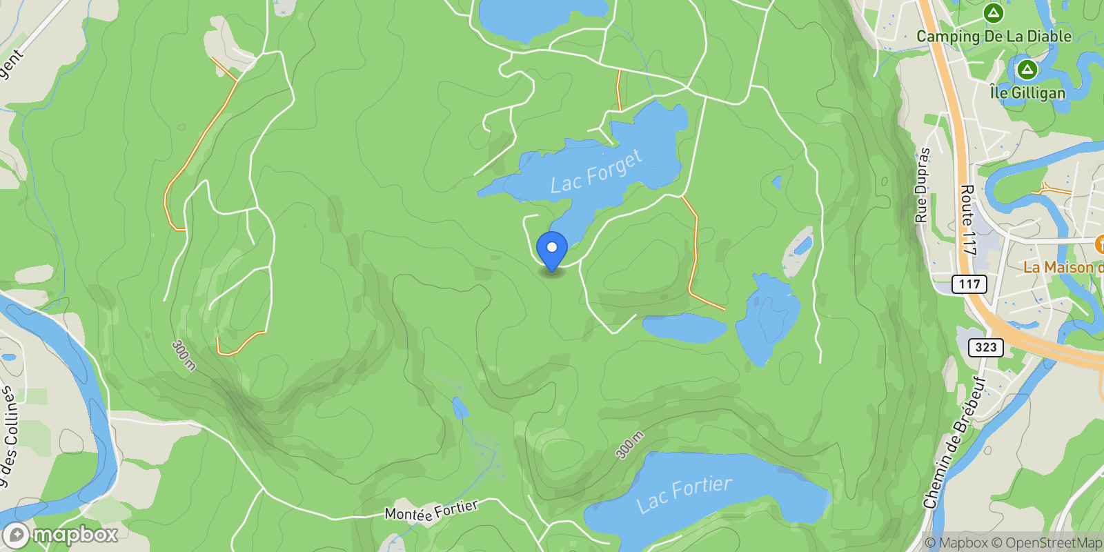 Map showing 355 Ch. du Lac-Forget, Mont-Tremblant, Quebec, Canada.