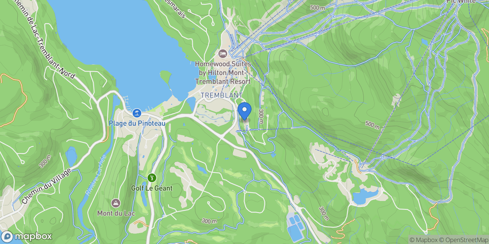 Map showing 168 Ch. de la Forêt 202, Mont-Tremblant, Quebec, Canada.
