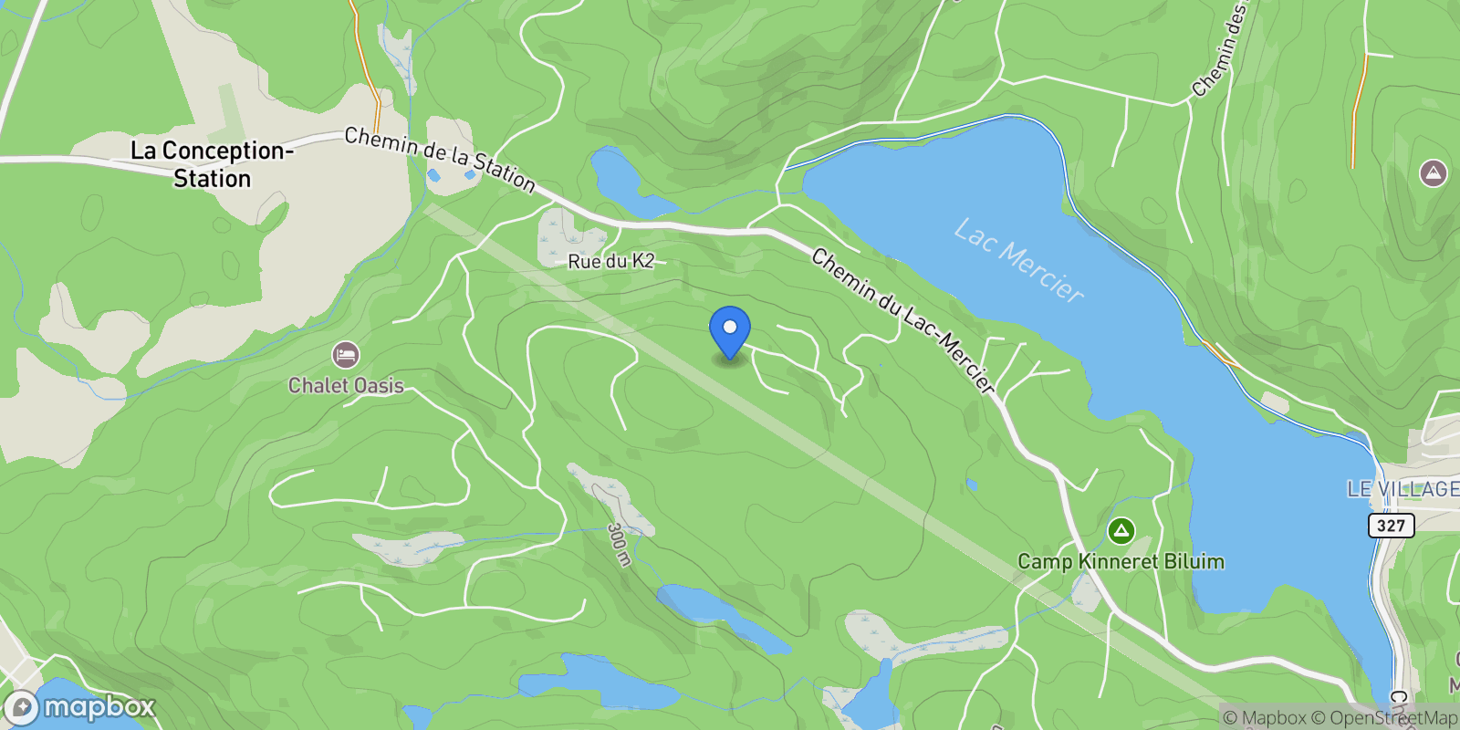 Map showing 110 Allée Alfred-Pellan, Mont-Tremblant, Quebec, Canada.