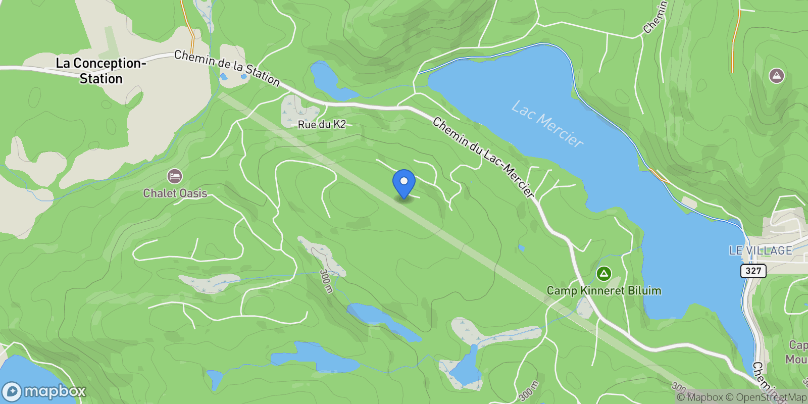 Map showing 138 Ch. Jean-Paul-Lemieux, Mont-Tremblant, Quebec, Canada.