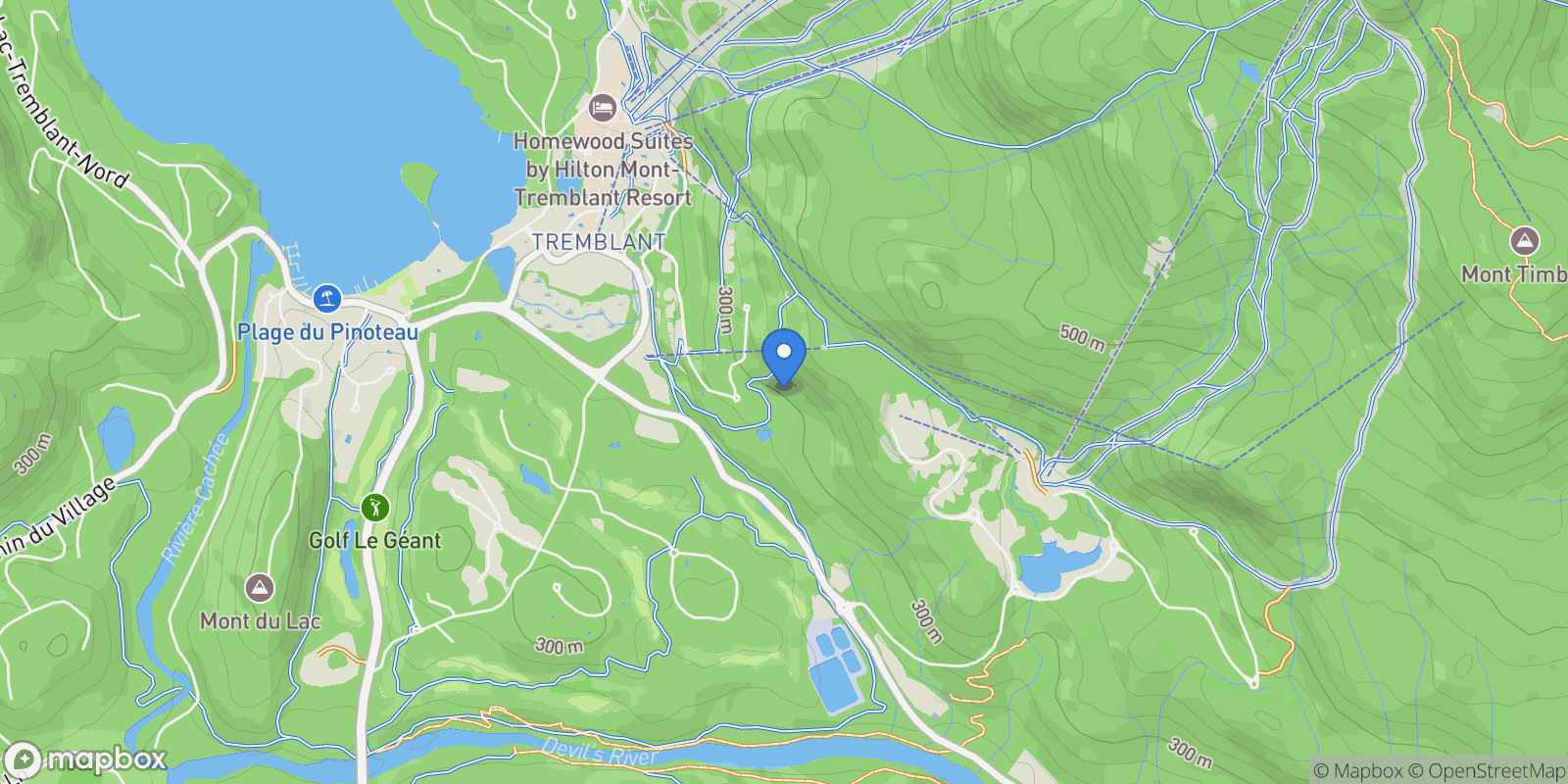 Map showing 236 Ch. de la Forêt 5, Mont-Tremblant, Quebec, Canada.