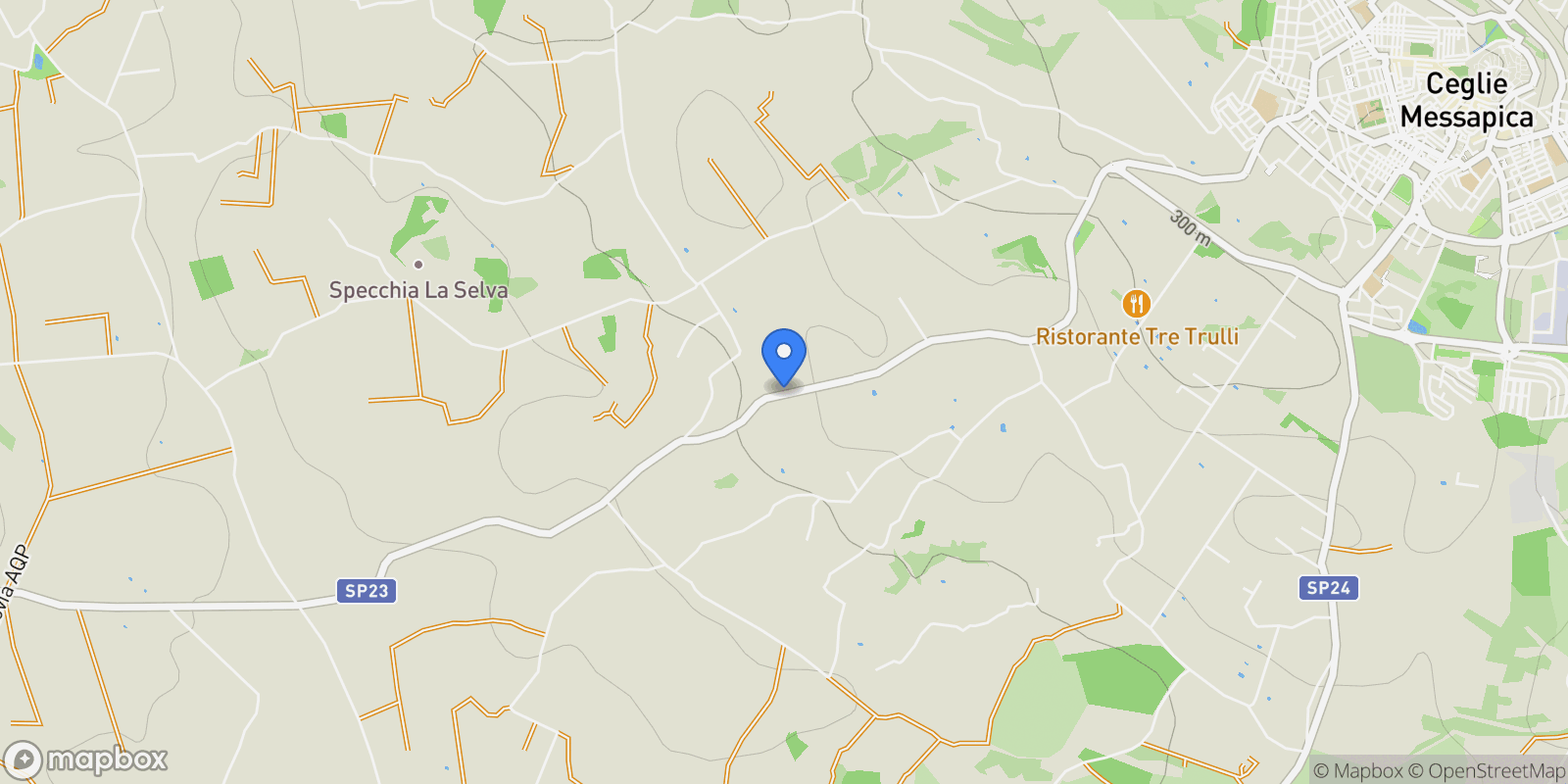 Map showing Contrada Monte Allegro, Ceglie Messapica, BR 72013, Apulia, Italy.
