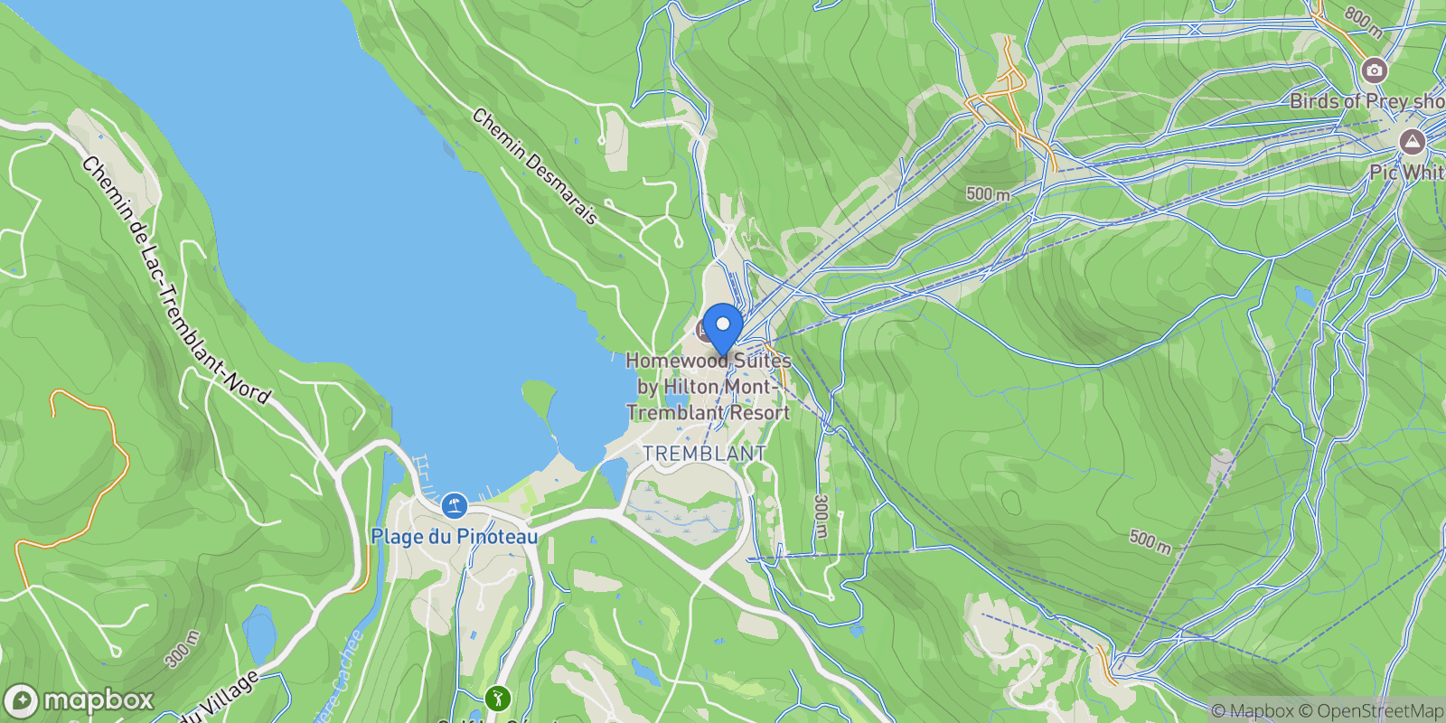 Map showing 118 Ch. de Kandahar 373-375, Mont-Tremblant, Quebec, Canada.