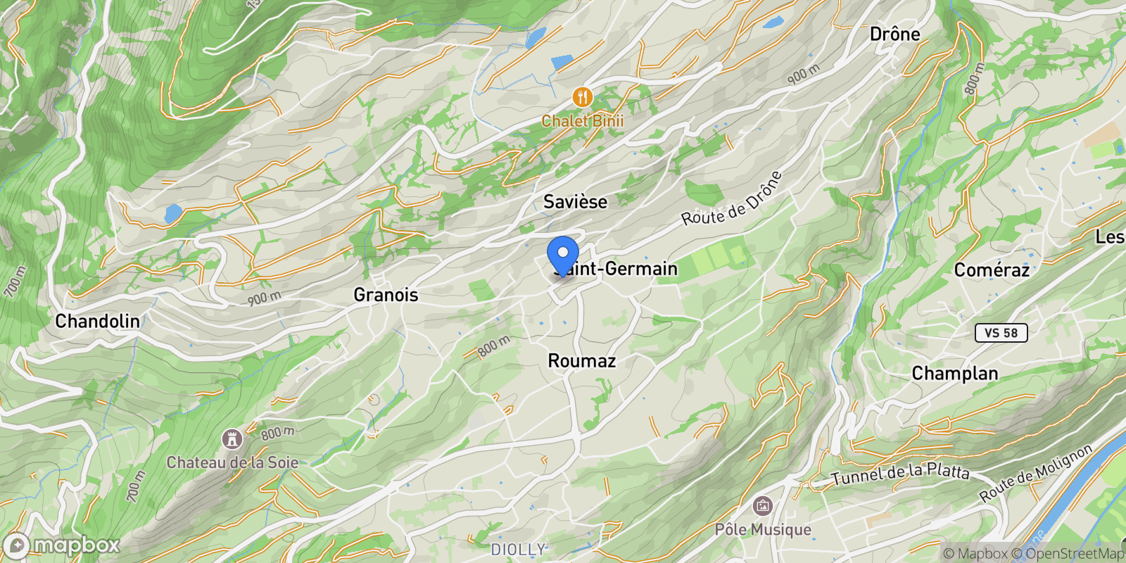 Map showing Savièse, Valais, Switzerland.