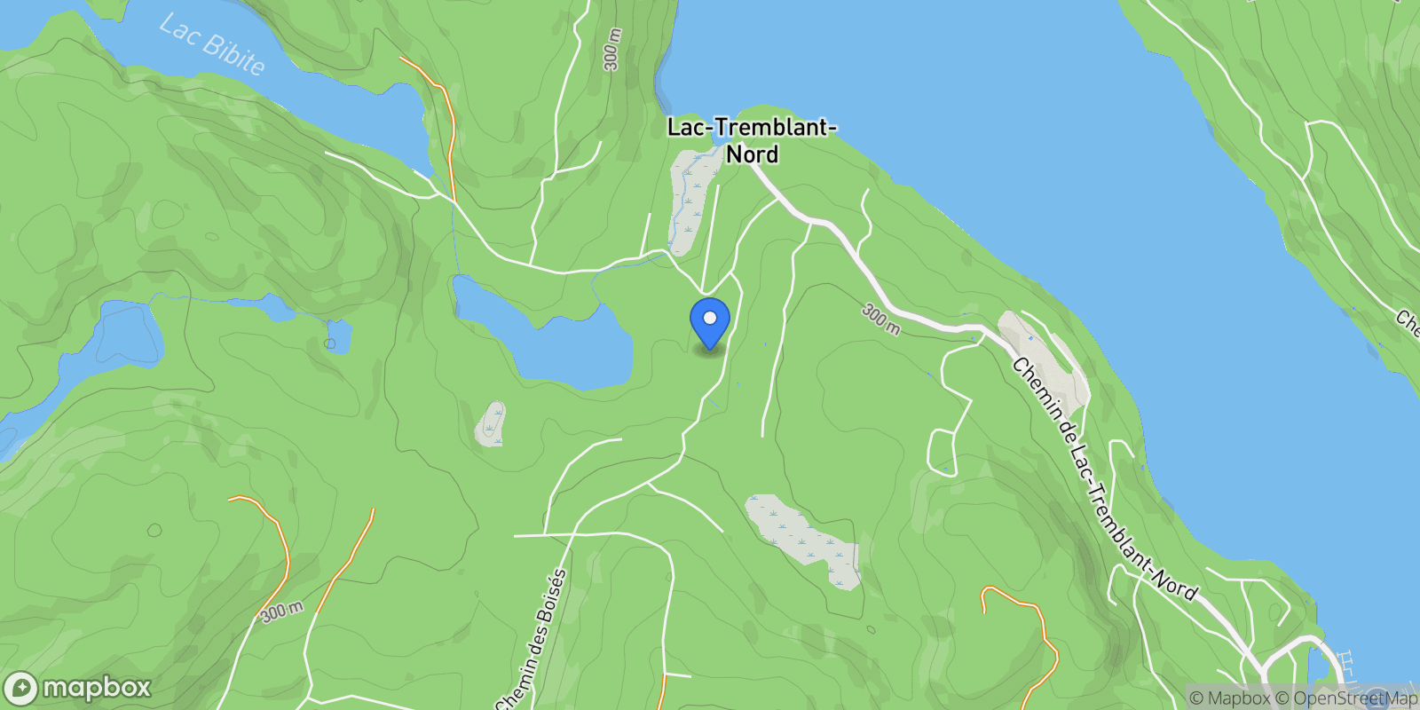 Map showing 376 Ch. des Chevreuils, Mont-Tremblant, Quebec, Canada.
