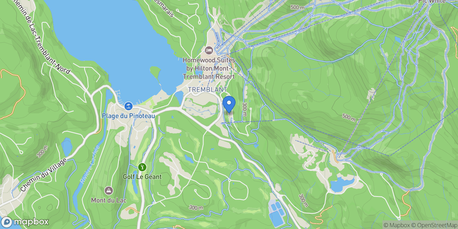 Map showing 168 Ch. de la Forêt 204, Mont-Tremblant, Quebec, Canada.