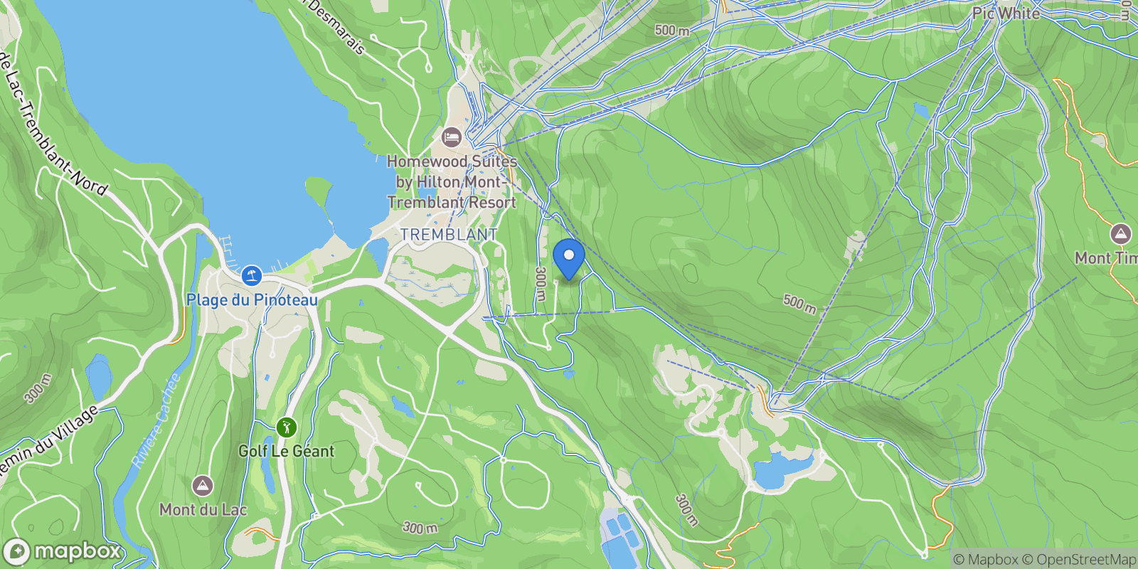 Map showing 170 Ch. des Sous-Bois 6, Mont-Tremblant, Quebec, Canada.